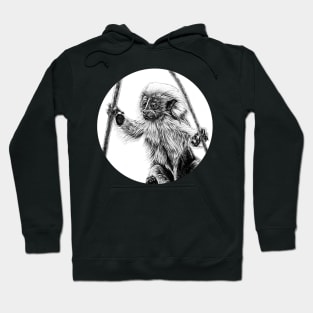 Cotton-top tamarin baby Hoodie